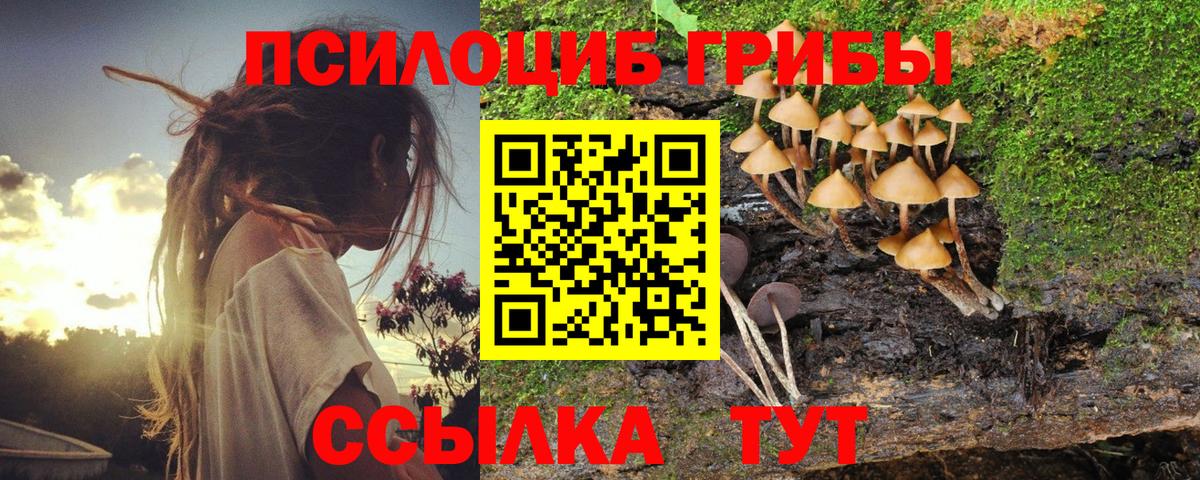 Красноармейск  Галлюциногенные грибы Psilocybe  купить закладку  Вход с VPN  Псилоцибиновые грибы Cubensis 