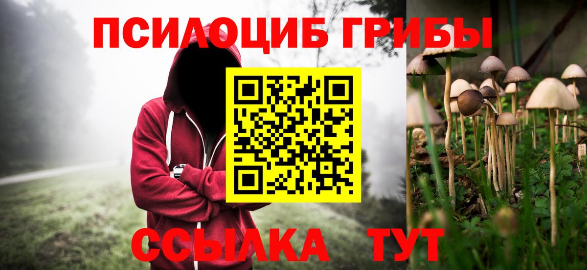 Галлюциногенные грибы GOLDEN TEACHER Красноармейск